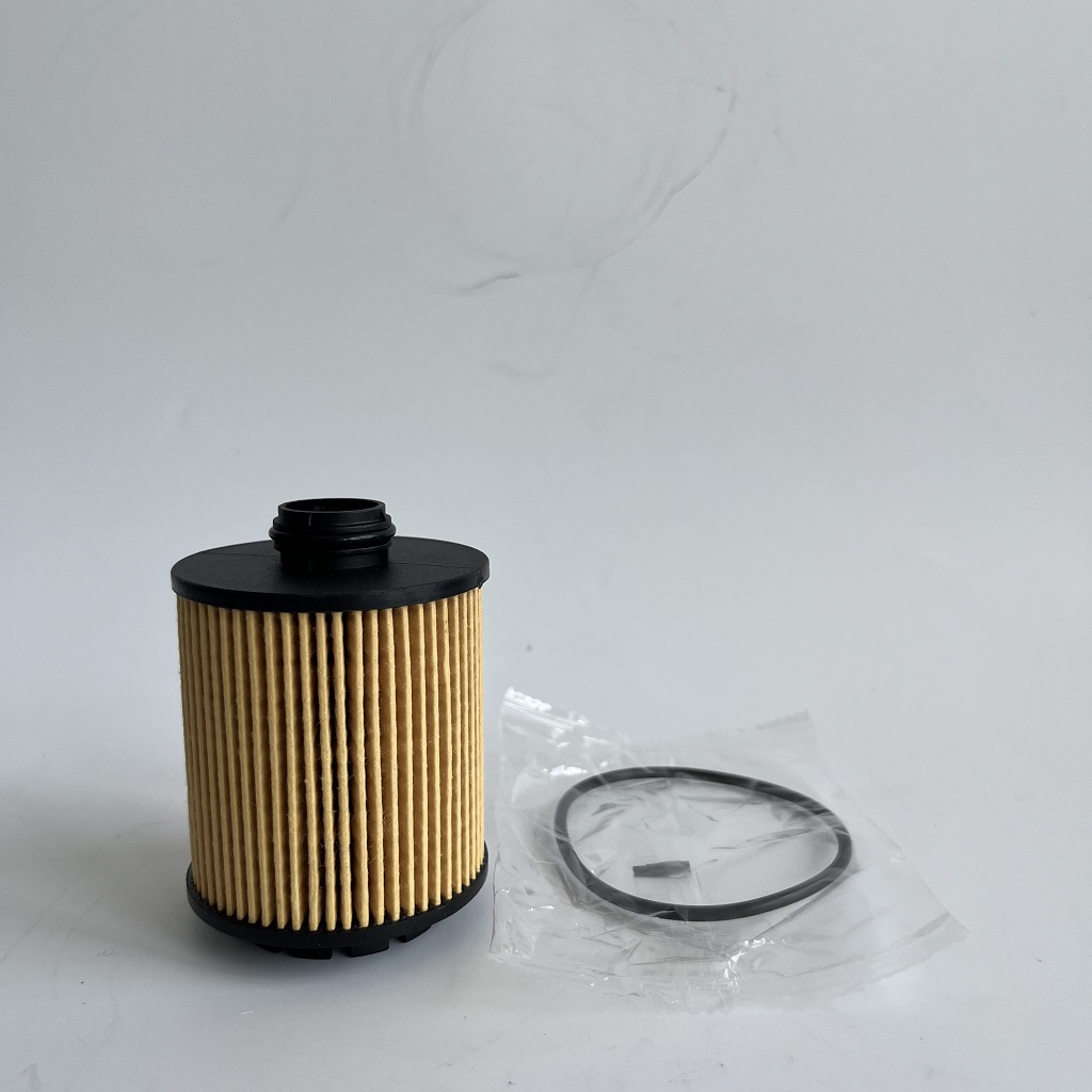 HU7043Z 1612565980 Oljni filter za Petgeot