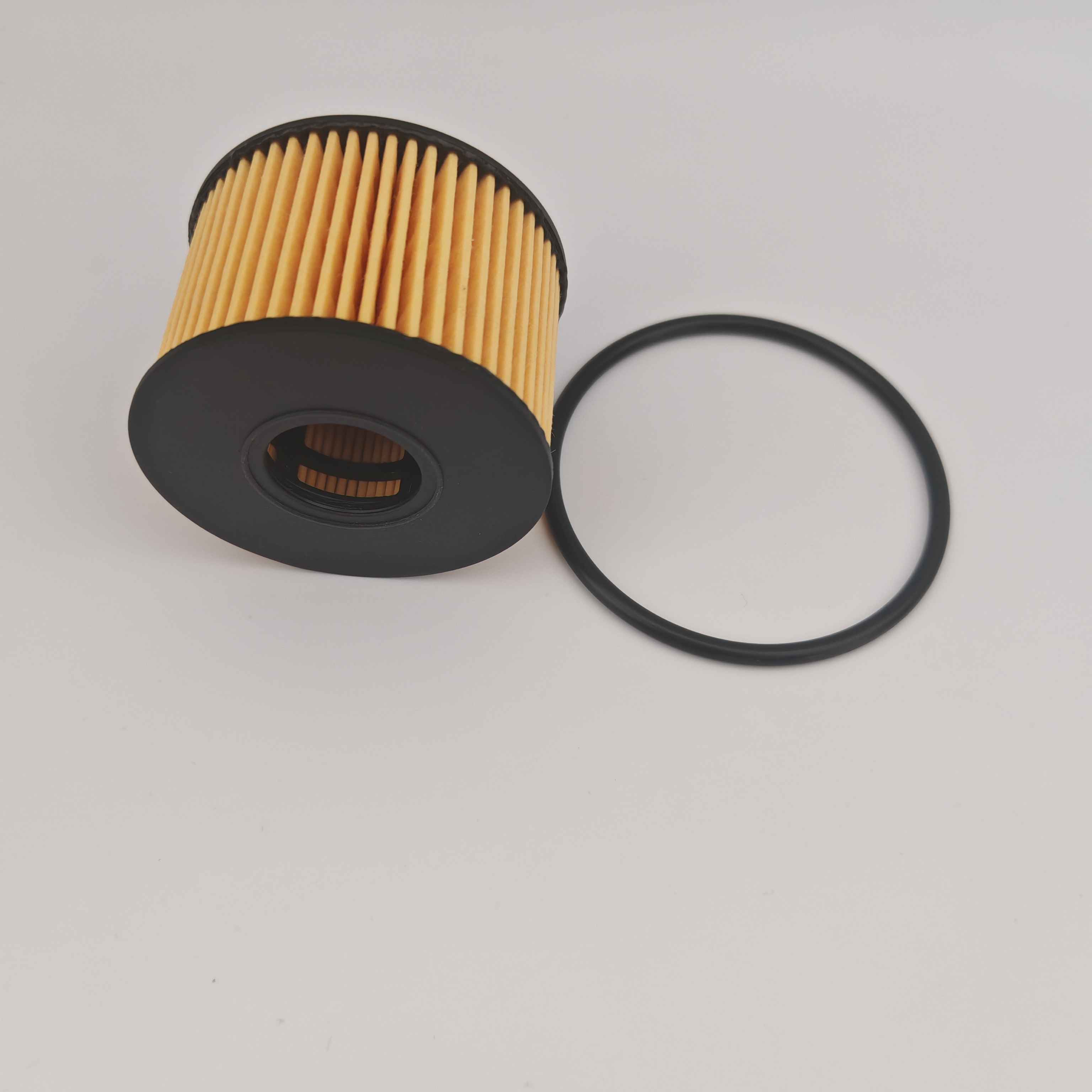 MS1-6744-AA OX1243D FOH5013 Oljni filter za JMC